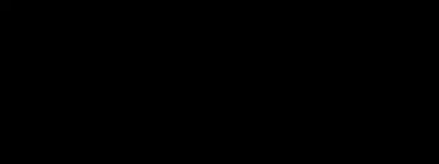 Project SIGNUS
